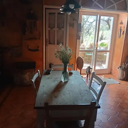 Morelli House *