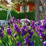 Morelli House *