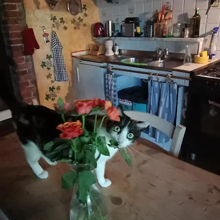 Lantställe Morelli House