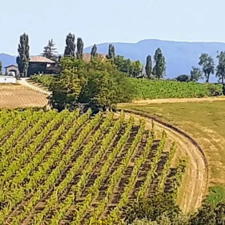 Morelli House Lantställe *