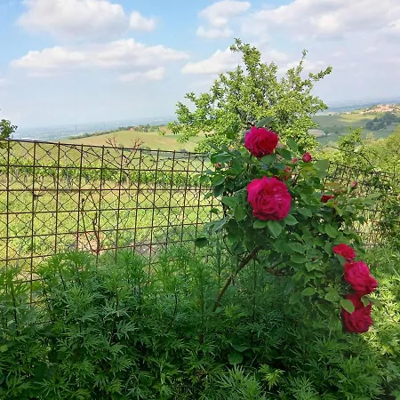 Morelli House * Montalbo