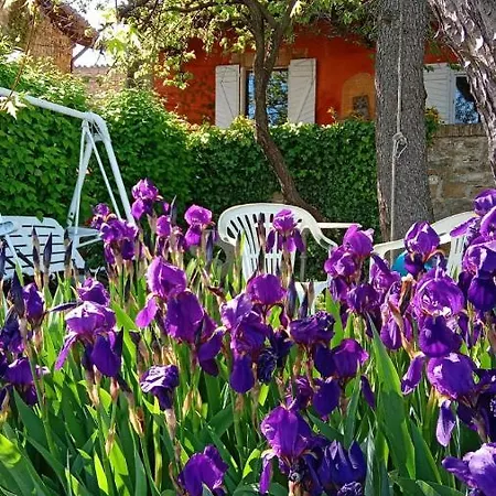 Morelli House *