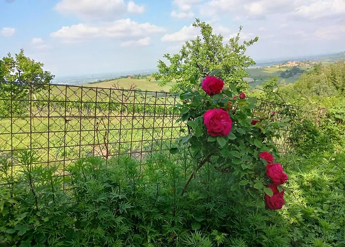 Morelli House * Montalbo